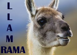 Llama Rama